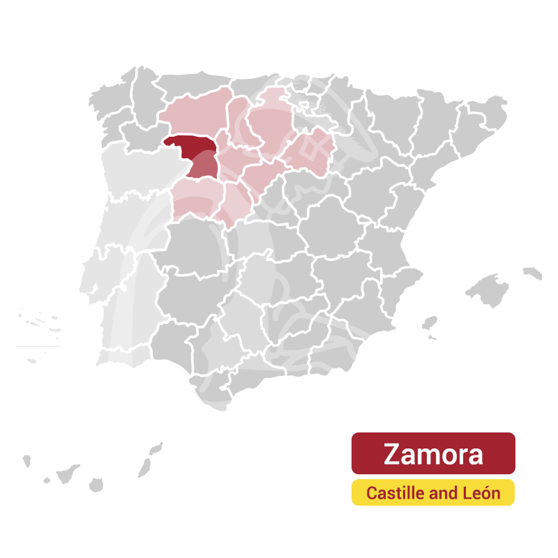 Castille-Zamora